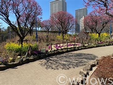 下丸子公園 徒歩10分。 800m