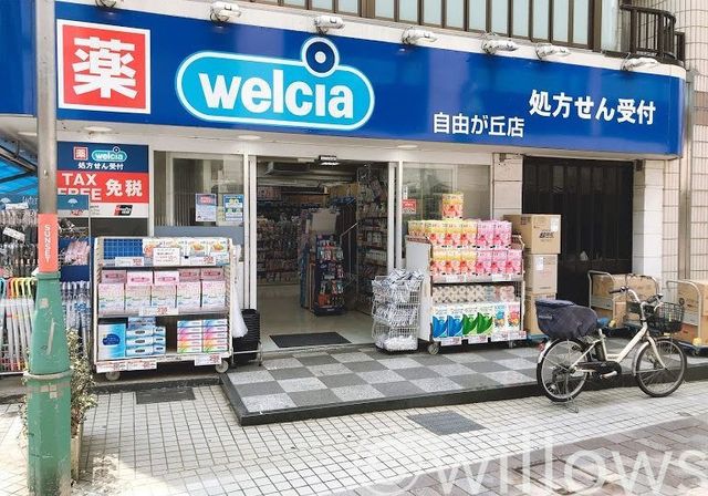 ウエルシア自由が丘店 徒歩10分。 760m