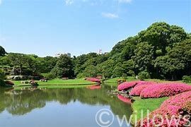 文京区六義公園運動場 徒歩8分。 600m