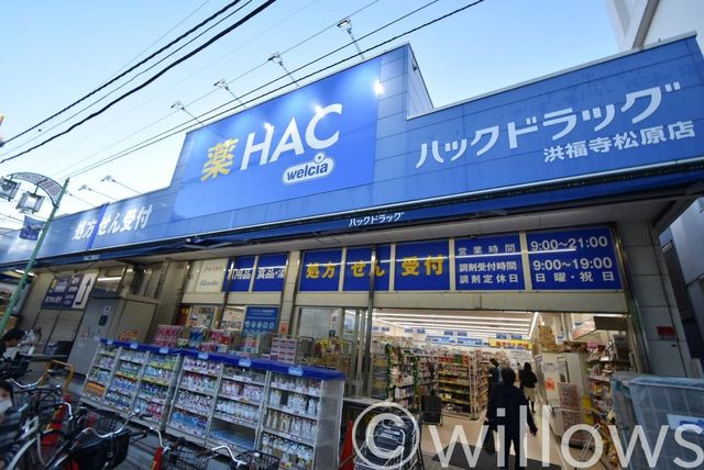 ハックドラッグ洪福寺松原店 徒歩8分。 590m